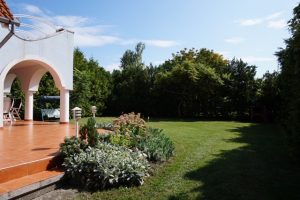 IMG_3513